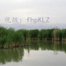 ǱĬ